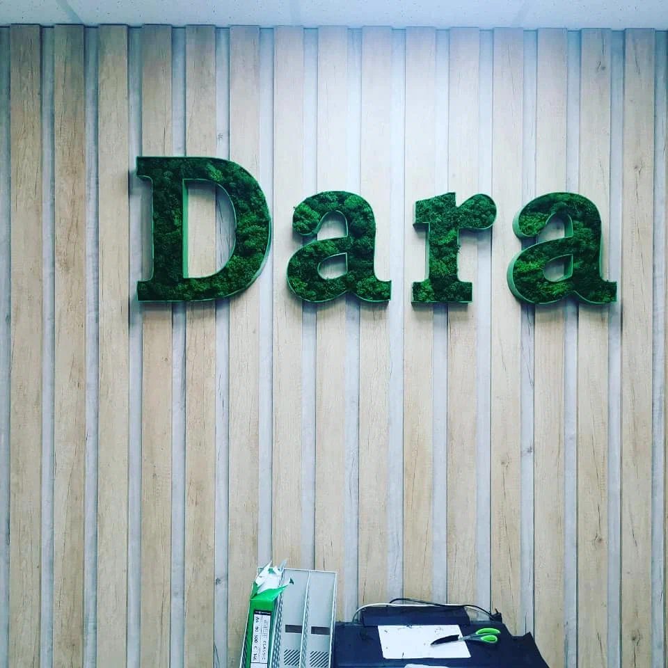 Объёмные буквы Dara из мха
